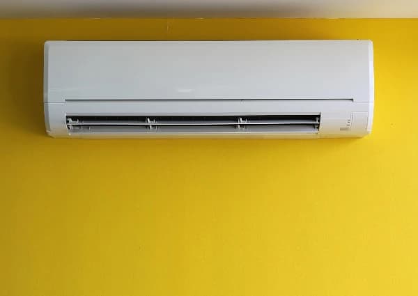 The Causes and Consequences of Mold at Home