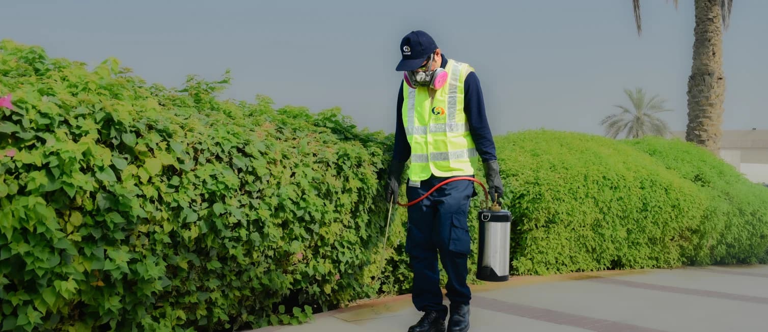 Pest Control Services - video-section