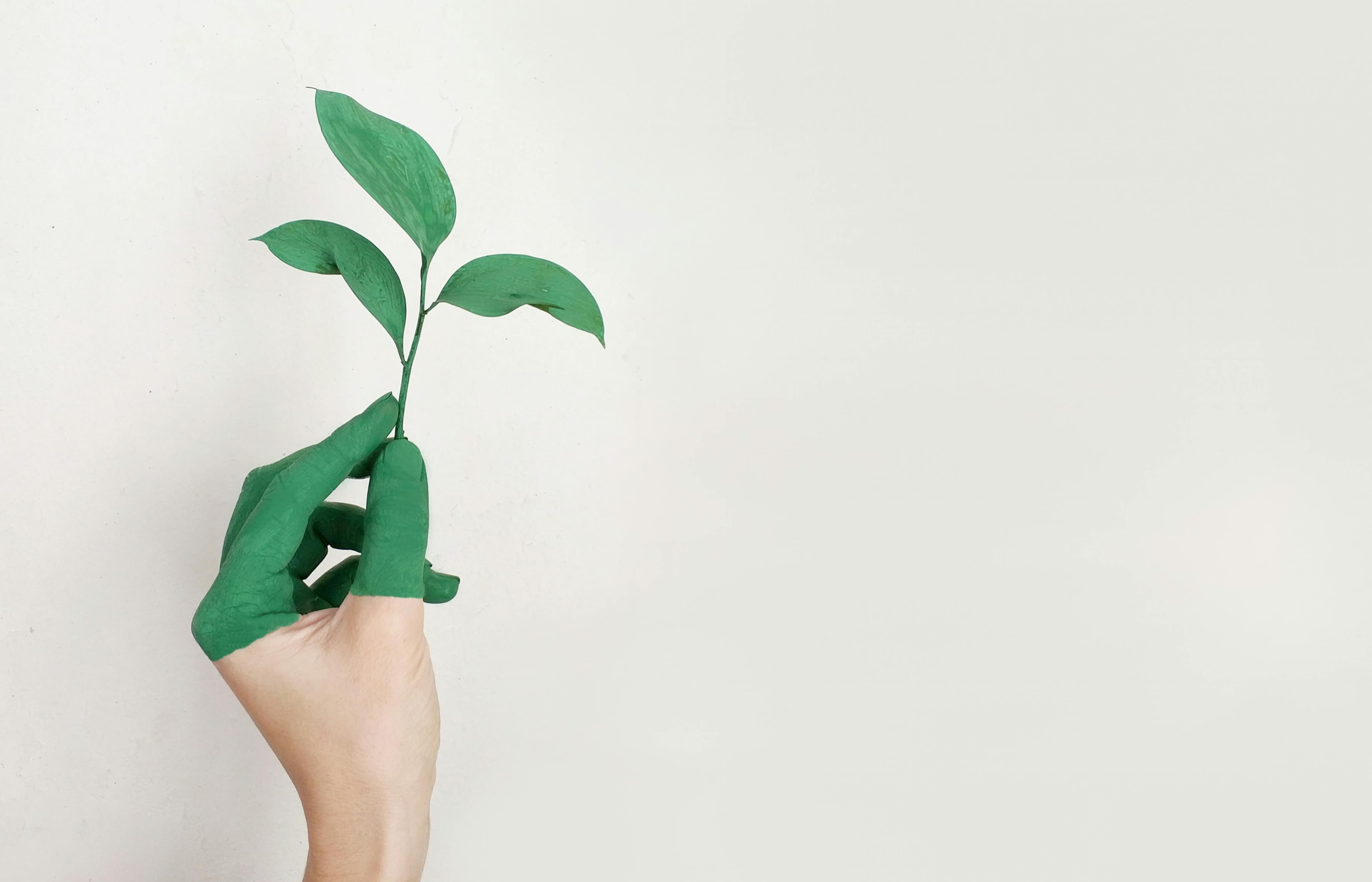 eco-friendly