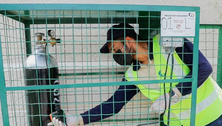 Feral animal control