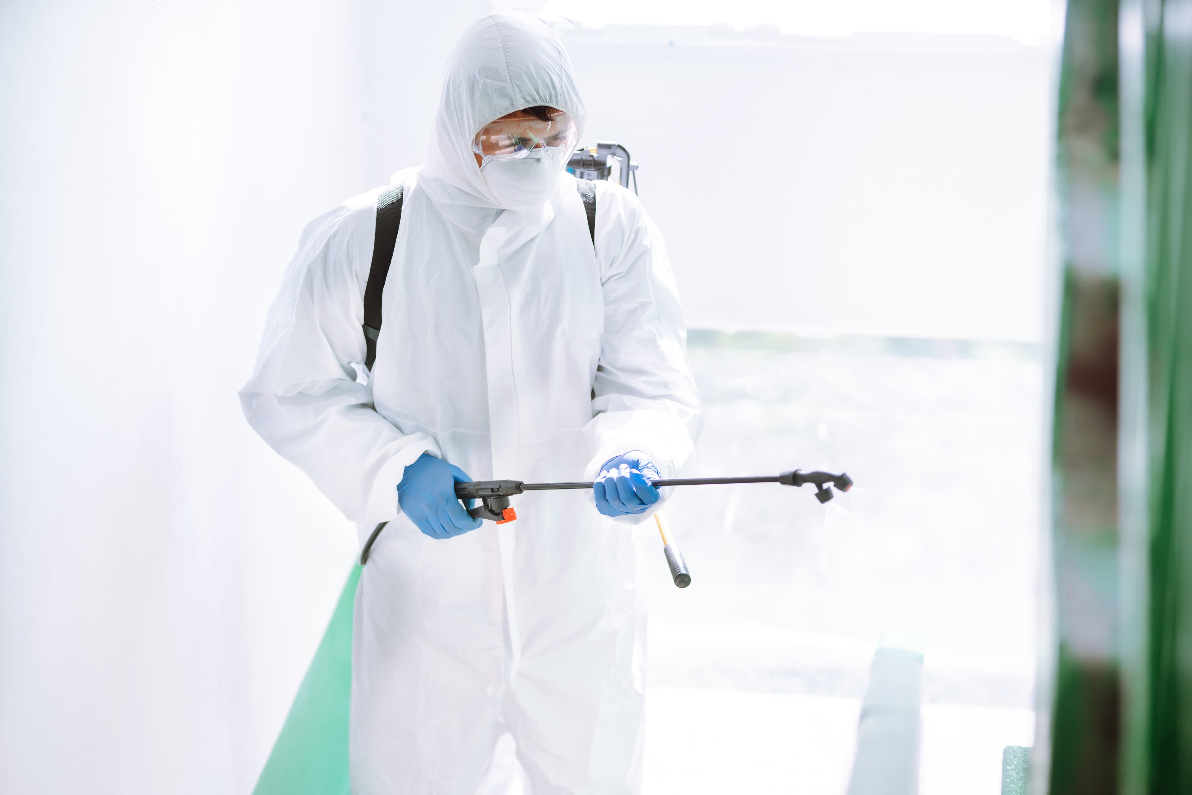 Pest Control Services-hero