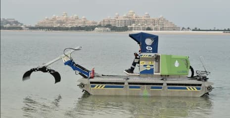 Lake Cleaning Services