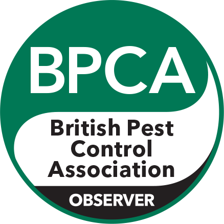 BPCA